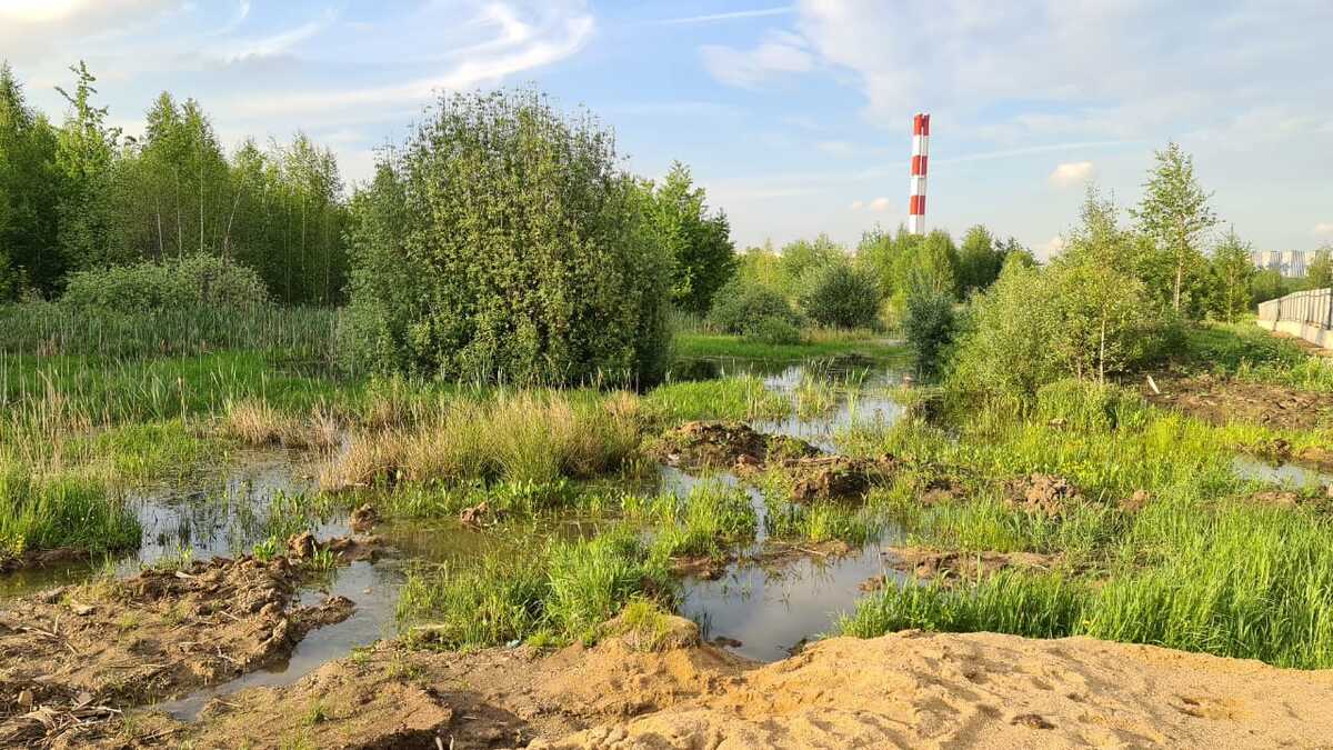 Сад южный екатеринбург. ЖК Южные сады. Южные сады ход строительства. А101 Южные сады. СЗ "сад горожанки".